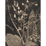 Φ John Nash RA (1893-1977) Orchids Signed and inscribed Orchids 1920 (in pencil to margin) Wood