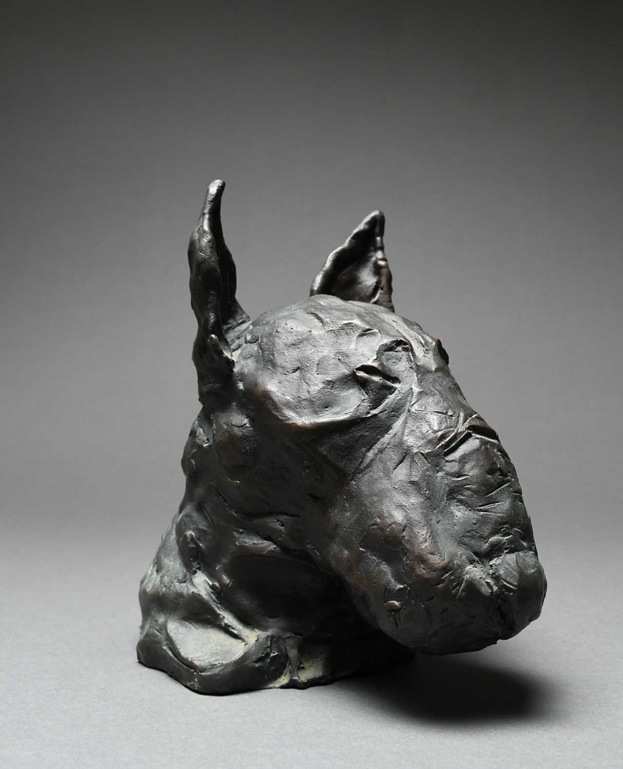 Φ Ray Richardson (b.1964) Bull-terrier Signed RAY 3/6 (to base of neck) Bronze 20.1 x 12.4 x 20. - Image 6 of 6