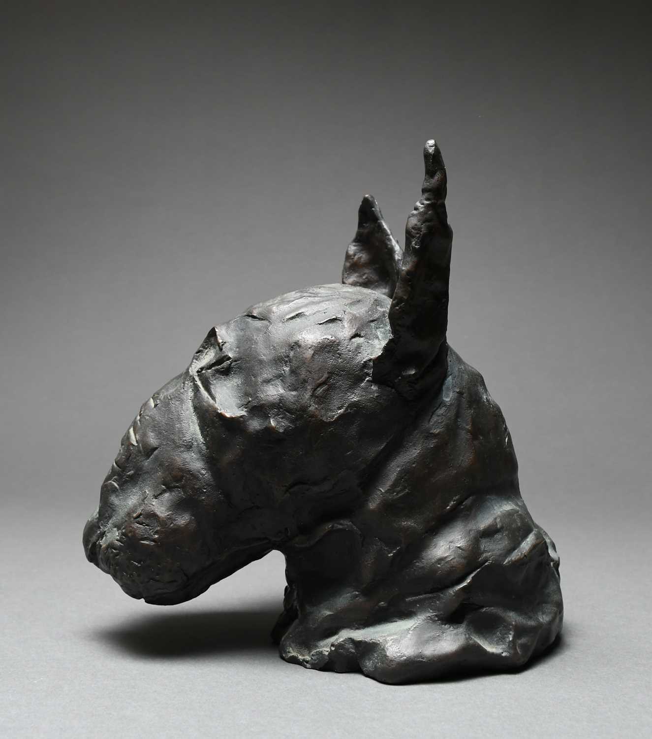 Φ Ray Richardson (b.1964) Bull-terrier Signed RAY 3/6 (to base of neck) Bronze 20.1 x 12.4 x 20. - Image 2 of 6