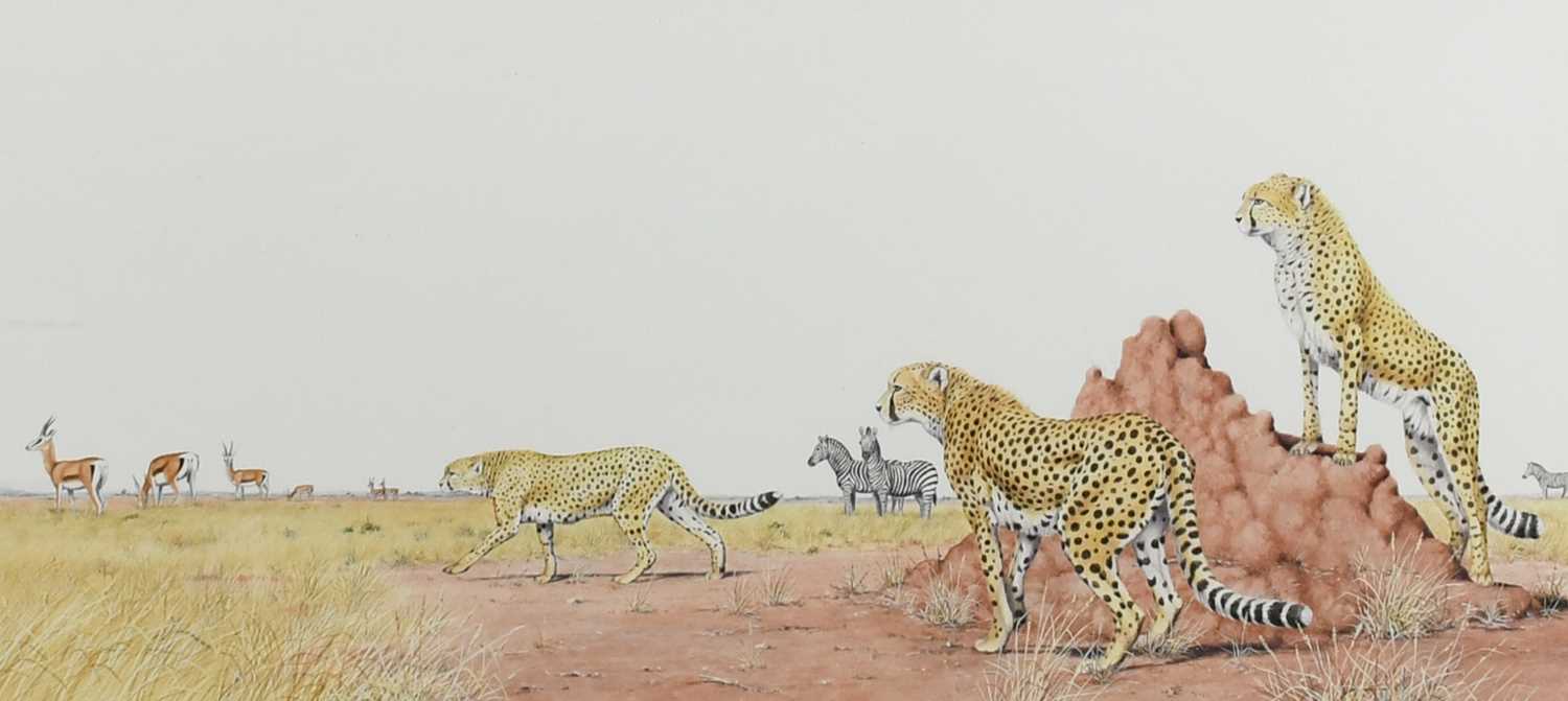 Φ Peter Barrett (b.1935) Cheetahs in the savanna; A hare and otter in a winter landscape; Animal