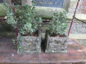 Small pair of weathered cast composition stone square planters with deep relief detail, (planted)