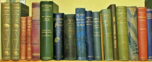 Collection of late 19th / early 20th century books on flora and botany of the British Isles (26)