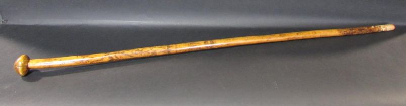 An antique walking stick from Queens Town Tasmania, decorated with indigenous animals including