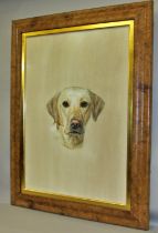 Contemporary British school, six associated portraits of dogs to include Labradors, spaniels,