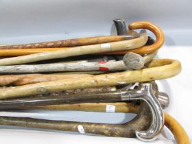 A mixed collection of twenty one walking stick / canes.