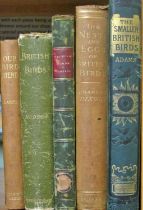 Samll collection of antiquarian bird books to include The History of British Birds (volume 1) (