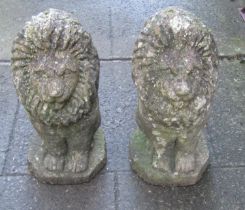 A pair of weathered cast composition stone pier/garden ornaments in the form of seated lions, 50