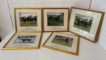 Of equestrian / horse racing interest: A collection of 11 photographic prints of race horses and