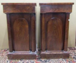A pair of early 19th century Mahogany pedestal cupboards, each enclosed by an arched and column
