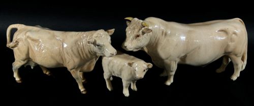 A Beswick porcelain model of a Charolais bull, cow and calf (3