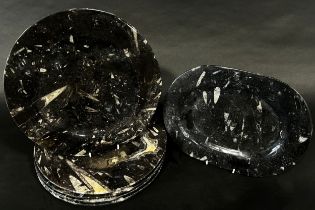 A group of six orthoceras fossil polished stone dishes (6)