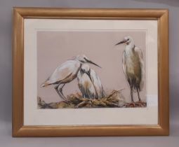 James Maberly (Contemporary) - Three Heron, signed below, pastel on paper, 59.5 x 42 cm, mounted,