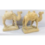 A pair of Chinese terracotta Bactrian Camels, after the Tang originals, 34cm high x 35cm wide.