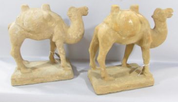 A pair of Chinese terracotta Bactrian Camels, after the Tang originals, 34cm high x 35cm wide.