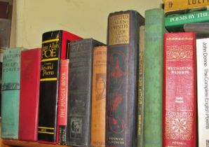 Library of antiquarian & more recent literature to include Edgar Allan Poe's Selected Tales (