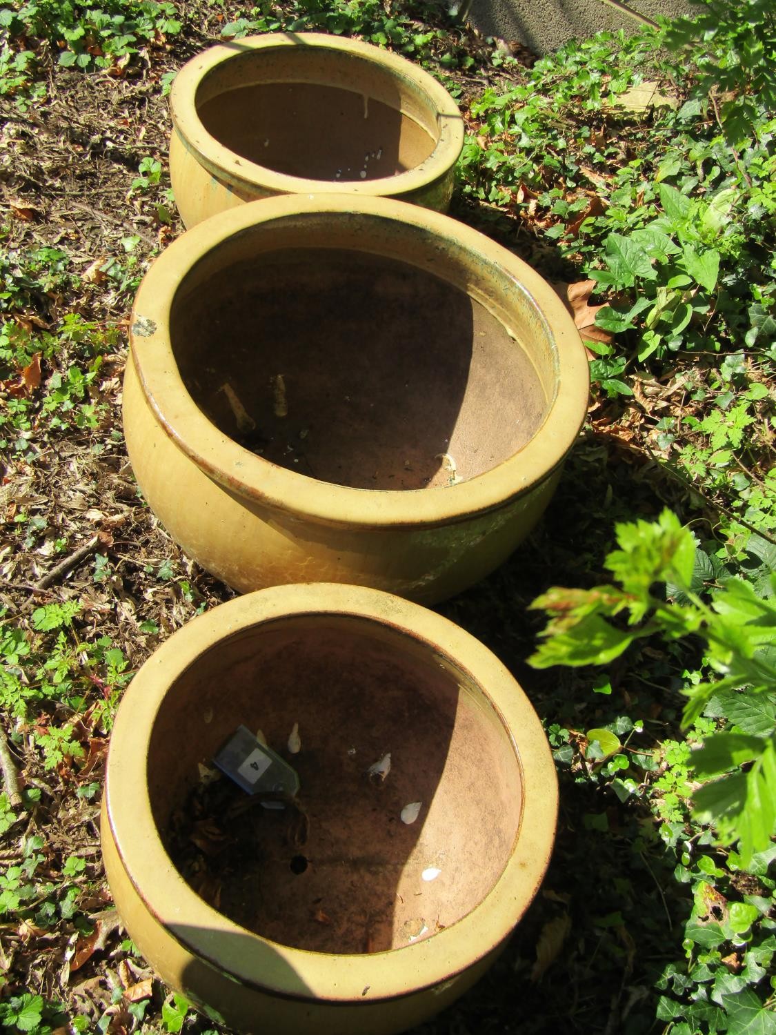 Four contemporary light brown glazed squat oviform planters of varying size, the largest example - Image 2 of 2