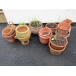 A quantity of weathered terracotta flower pots and planters of varying size and design including a