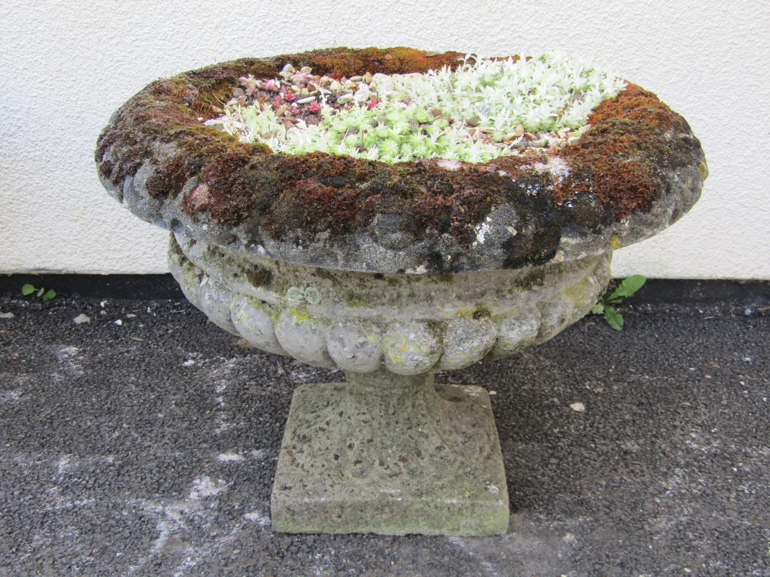 A pair of weathered cast composition stone garden urns, the squat circular lobed bowls with flared - Image 4 of 9