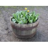 A weathered coopered oak half barrel planter (planted) 38 cm high x 65 cm in diameter