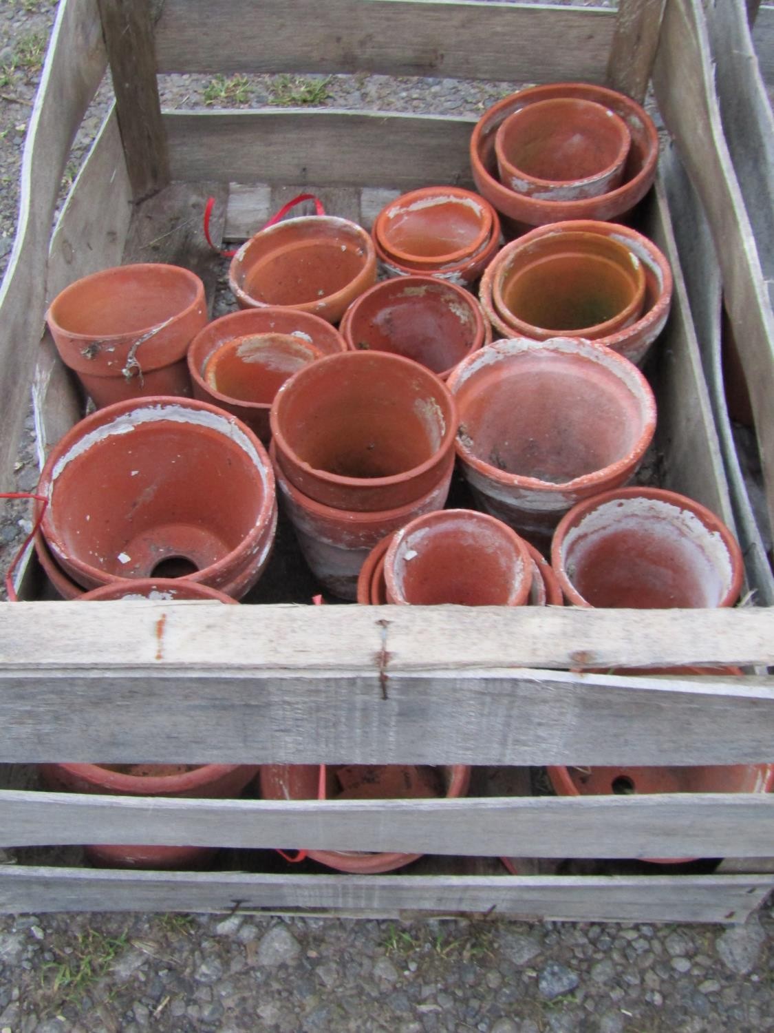 Three weathered wooden crates containing a quantity of terracotta flower pots of varying size and - Image 2 of 4