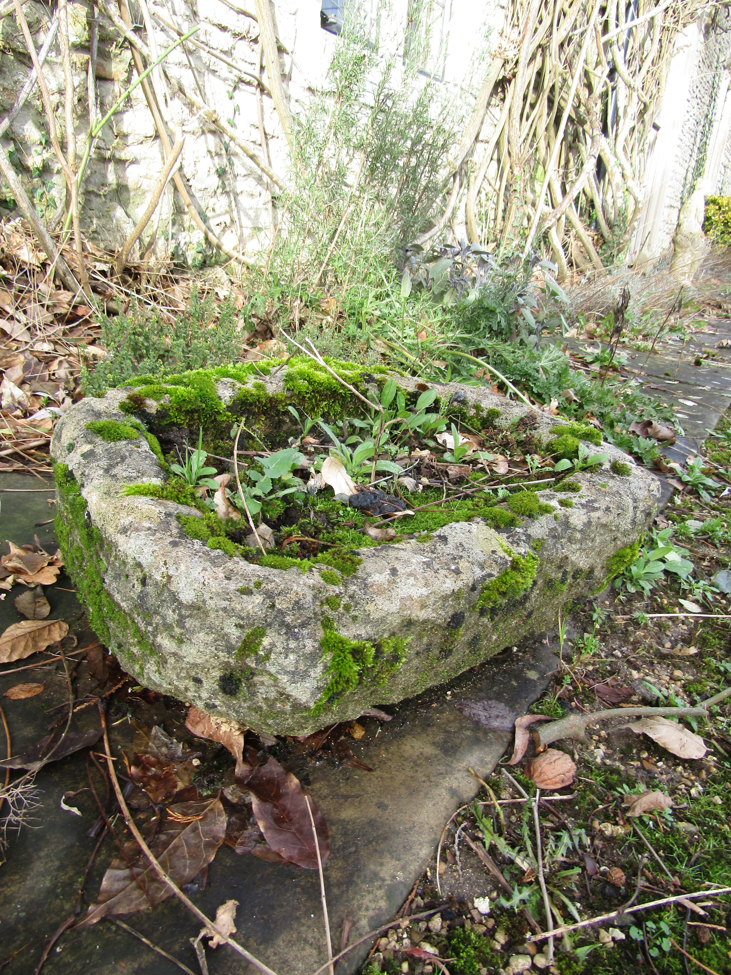 Two small ancient rough hewn planters/troughs, 45 cm wide and 35 cm wide approximately - Image 2 of 4