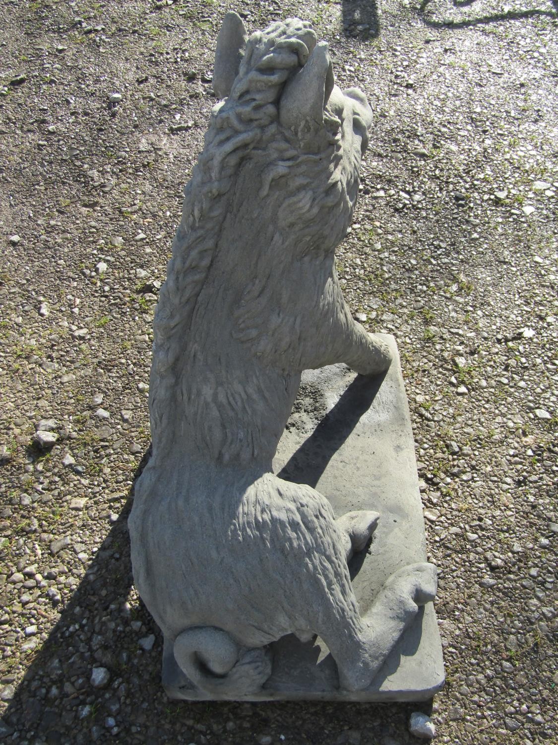 A life size cast composition stone garden ornament/study of a seated wild boar set on a - Image 3 of 5