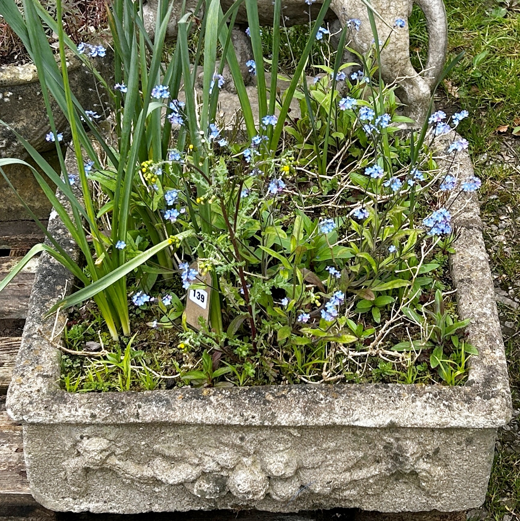 A shallow weathered cast composition stone garden trough of square form with fruiting swag and lions