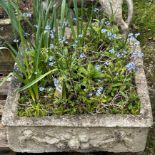 A shallow weathered cast composition stone garden trough of square form with fruiting swag and lions