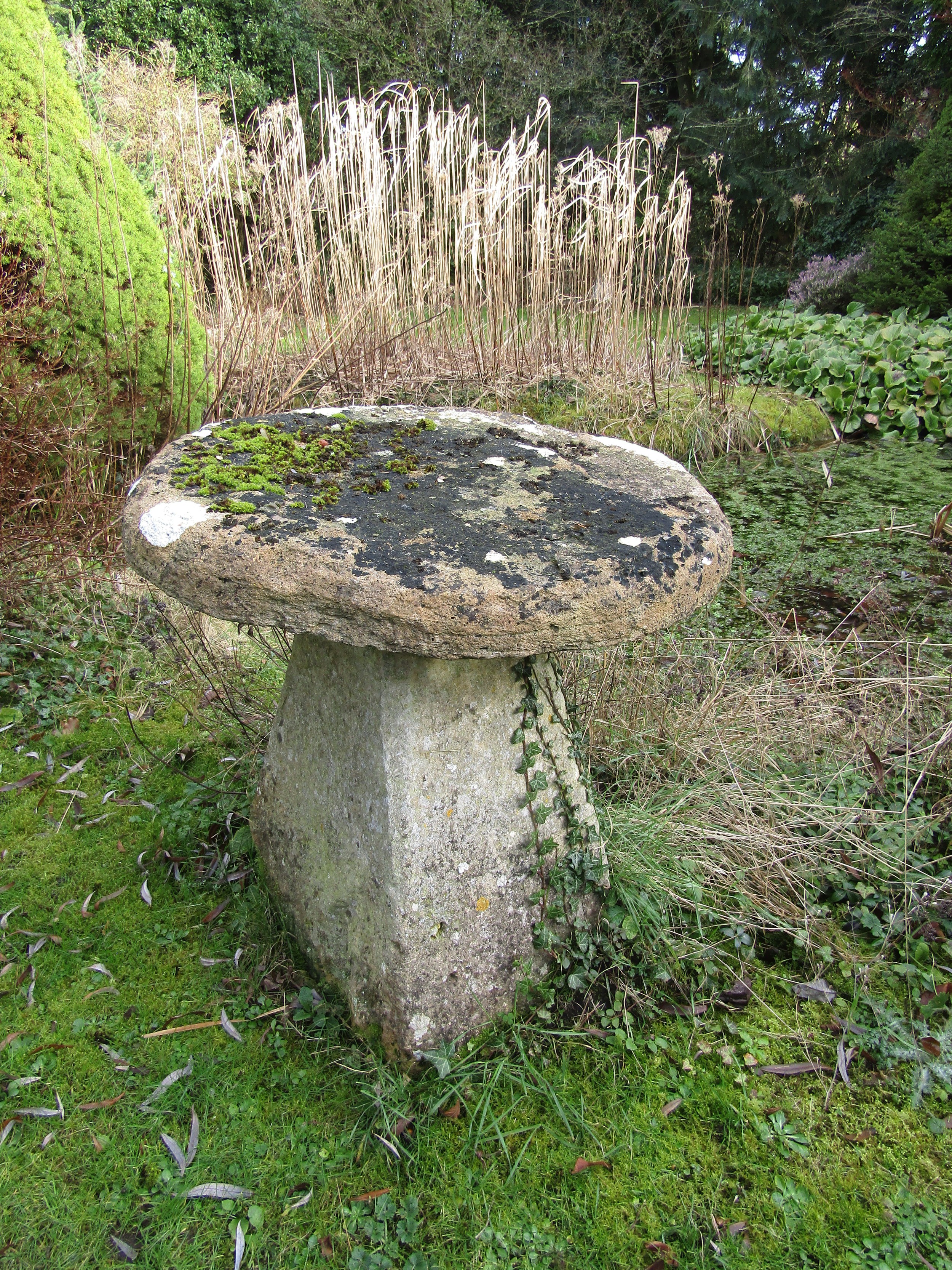 A substantial limestone staddle stone and base, the top of flat form, 80 cm diameter x 80 cm - Image 2 of 5
