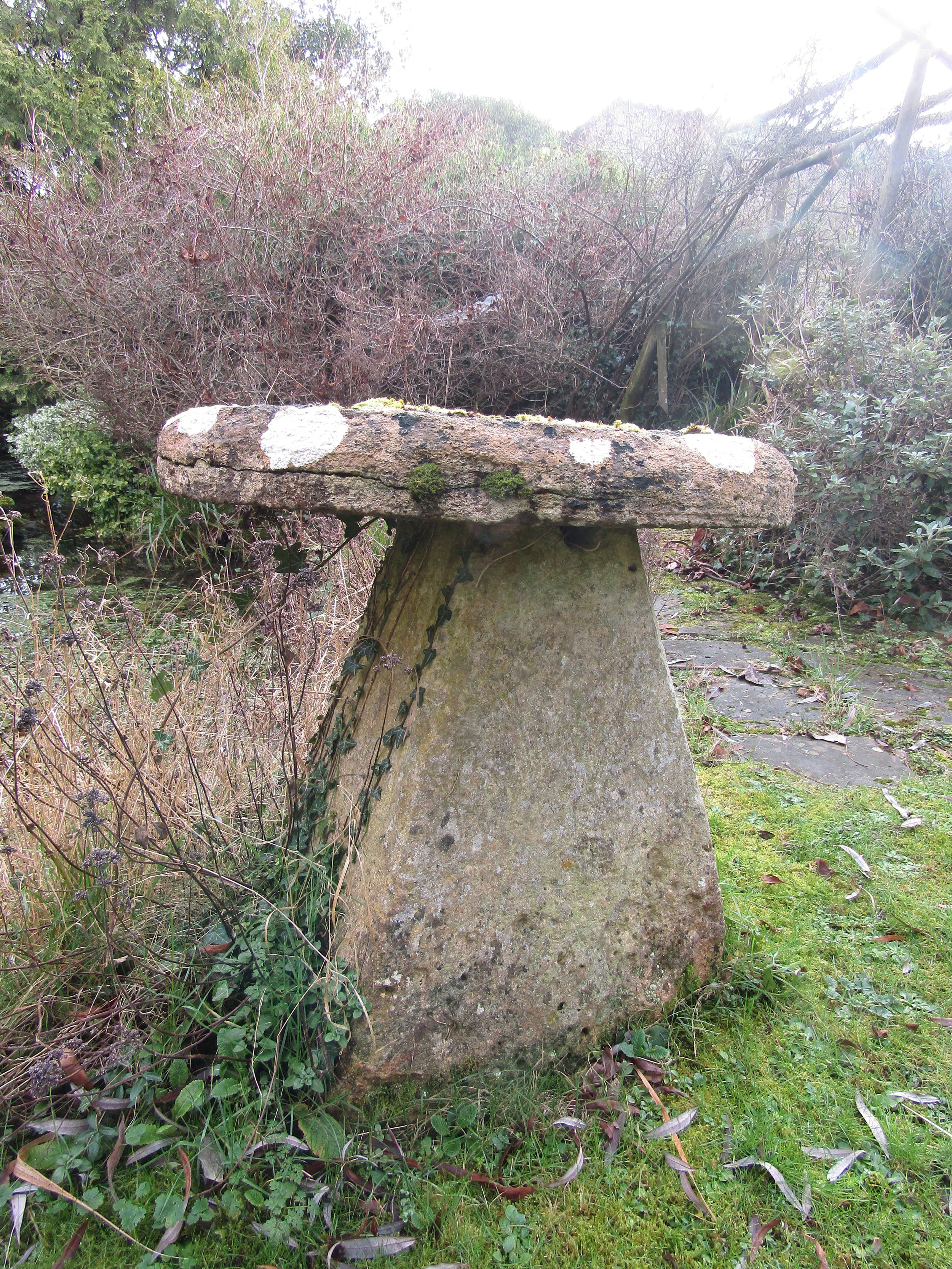 A substantial limestone staddle stone and base, the top of flat form, 80 cm diameter x 80 cm - Image 4 of 5