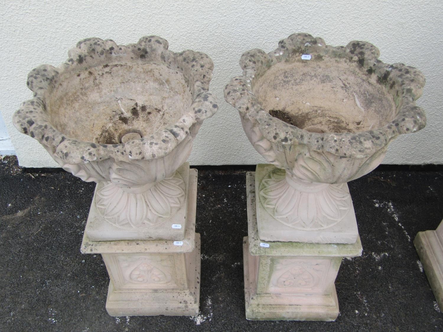 A pair of cast composition stone garden urns with circular acanthus leaf bowls raised on loose - Image 2 of 2