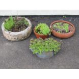 Four small planters of varying design including a bow fronted cast iron example with decorative