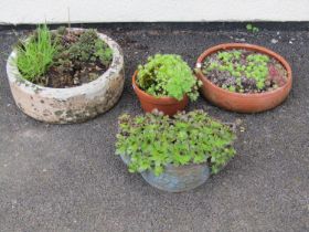 Four small planters of varying design including a bow fronted cast iron example with decorative