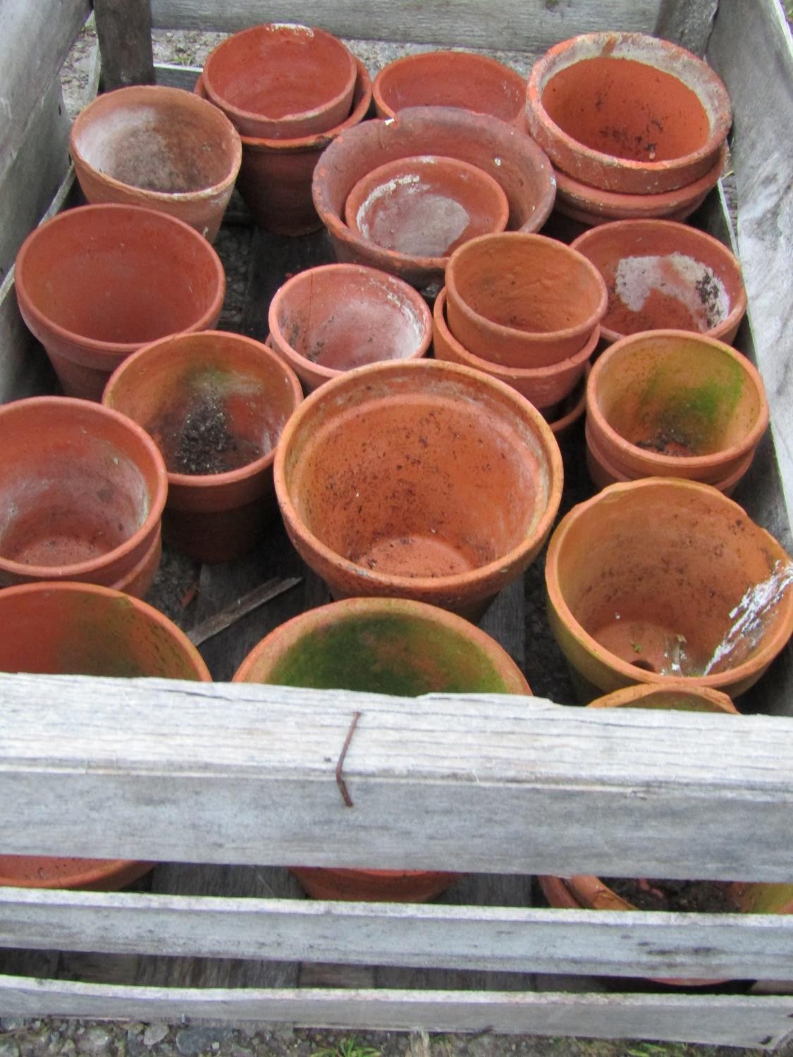Three weathered wooden crates containing a quantity of terracotta flower pots of varying size and - Image 3 of 4