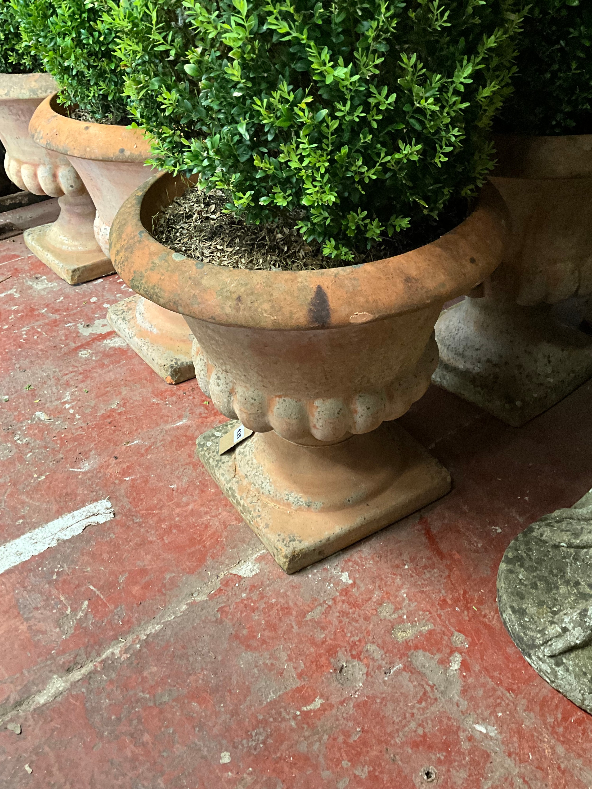 A good set of six matching weathered terracotta garden urn planters, with flared rims, lobed - Image 3 of 3