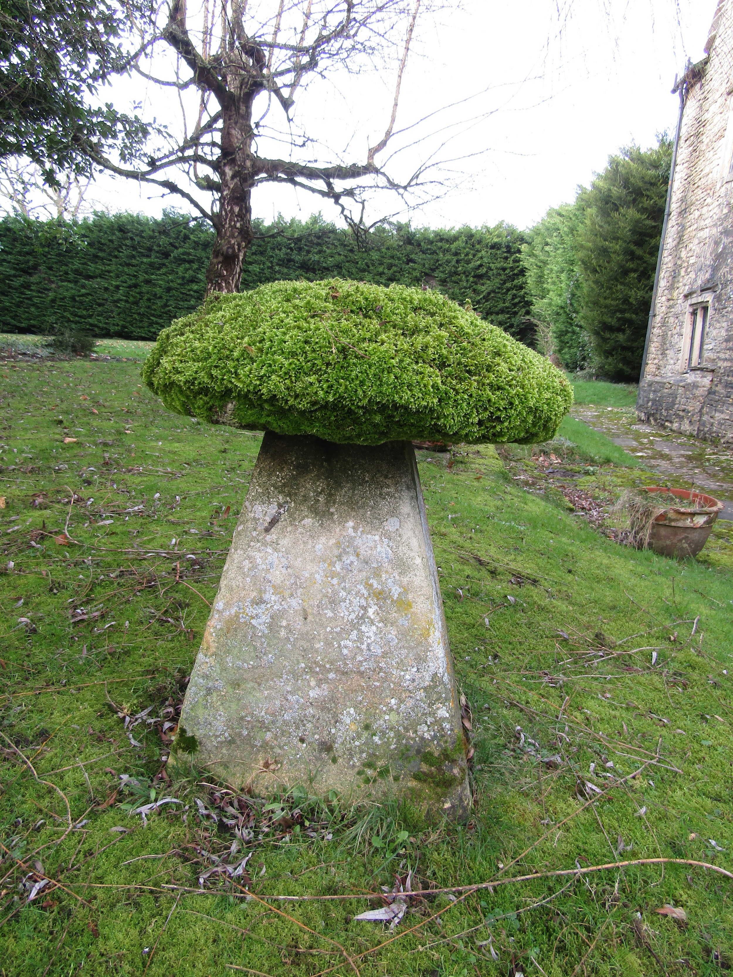A substantial limestone staddle stone and cap heavily moss encrusted, 80 cm height - Image 3 of 5