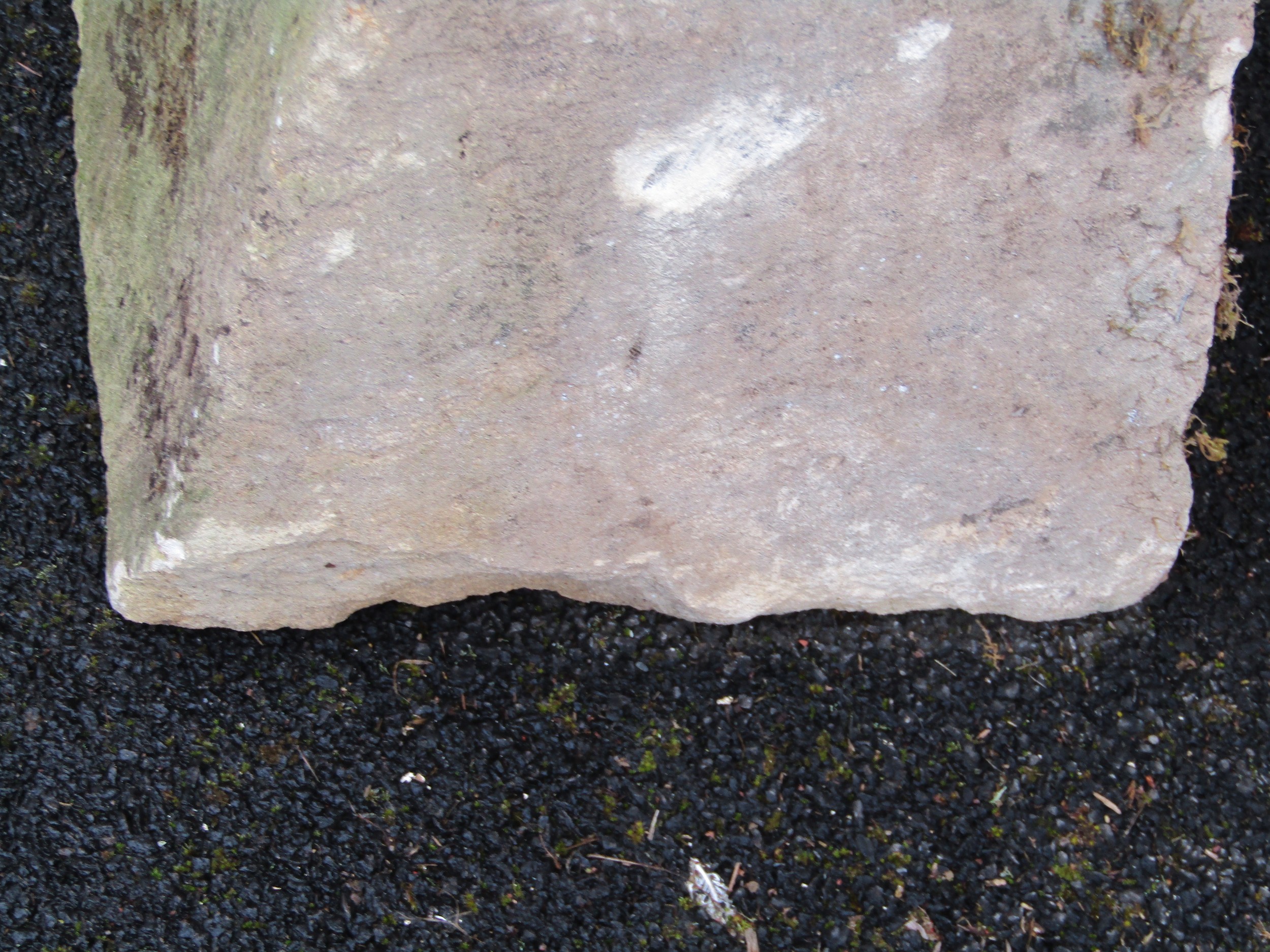 A weathered natural stone staddle stone with domed cap raised on a square tapered base 72 cm high - Image 4 of 4