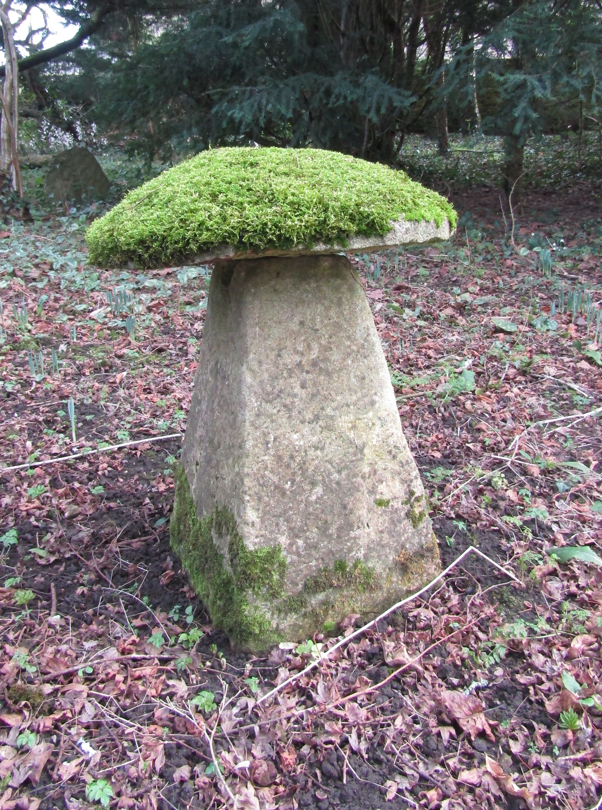 A limestone staddle stone and cap, moss encrusted, 70 cm in height