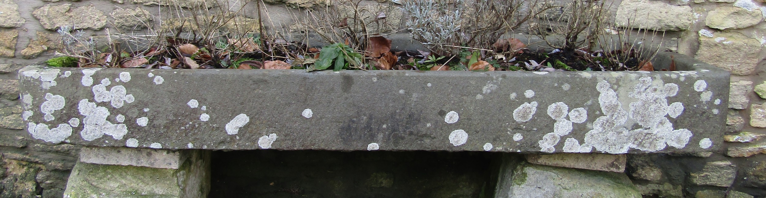 A local stone trough of shallow depth, lichen encrusted, 135 cm long x 47 deep x 16 cm high