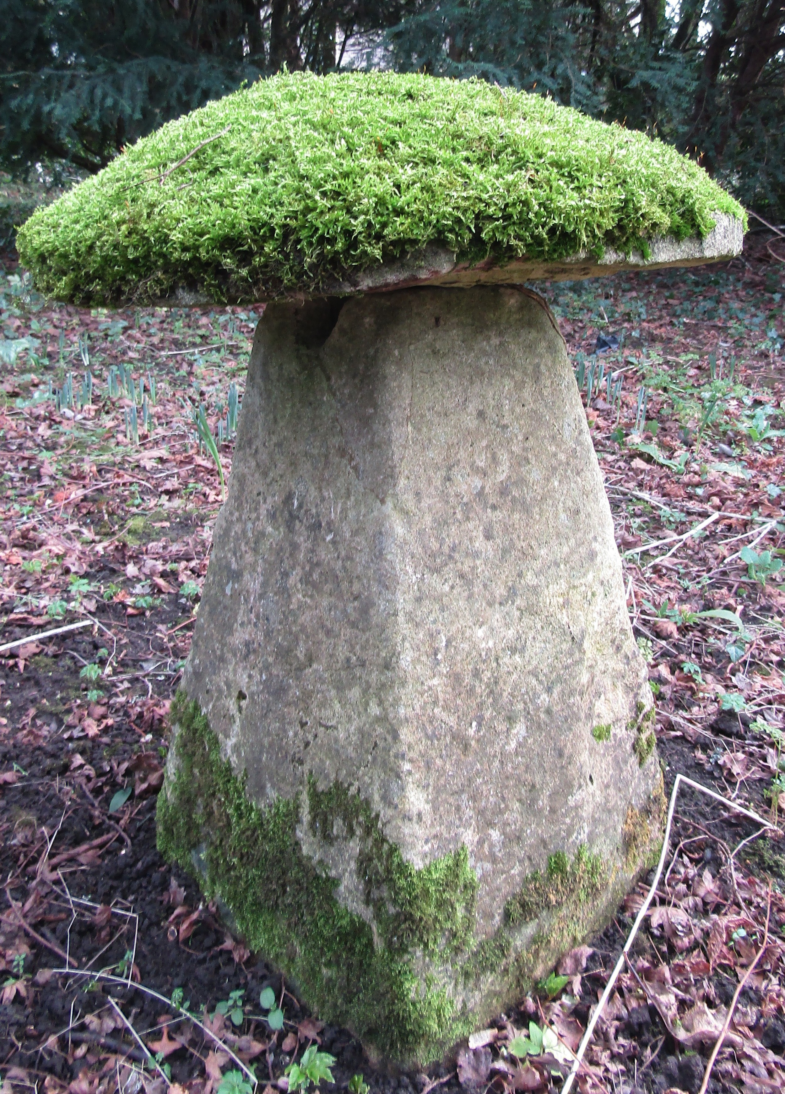 A limestone staddle stone and cap, moss encrusted, 70 cm in height - Image 2 of 4