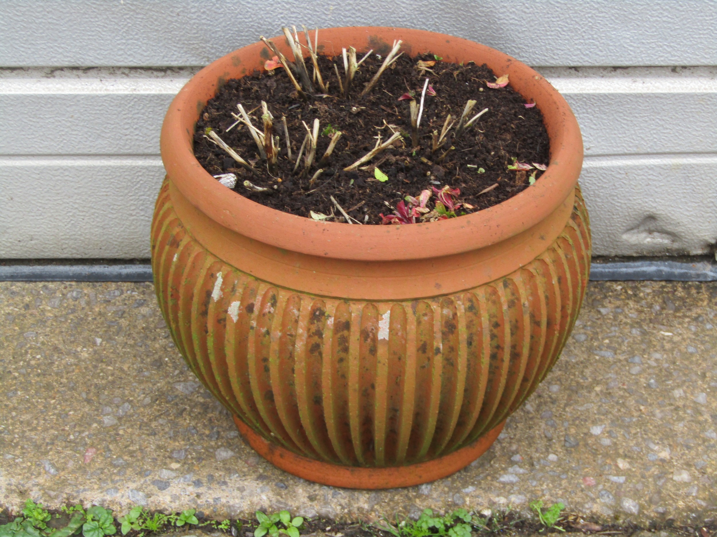 A quantity of weathered terracotta flower pots and planters of varying size and design including a - Image 4 of 4