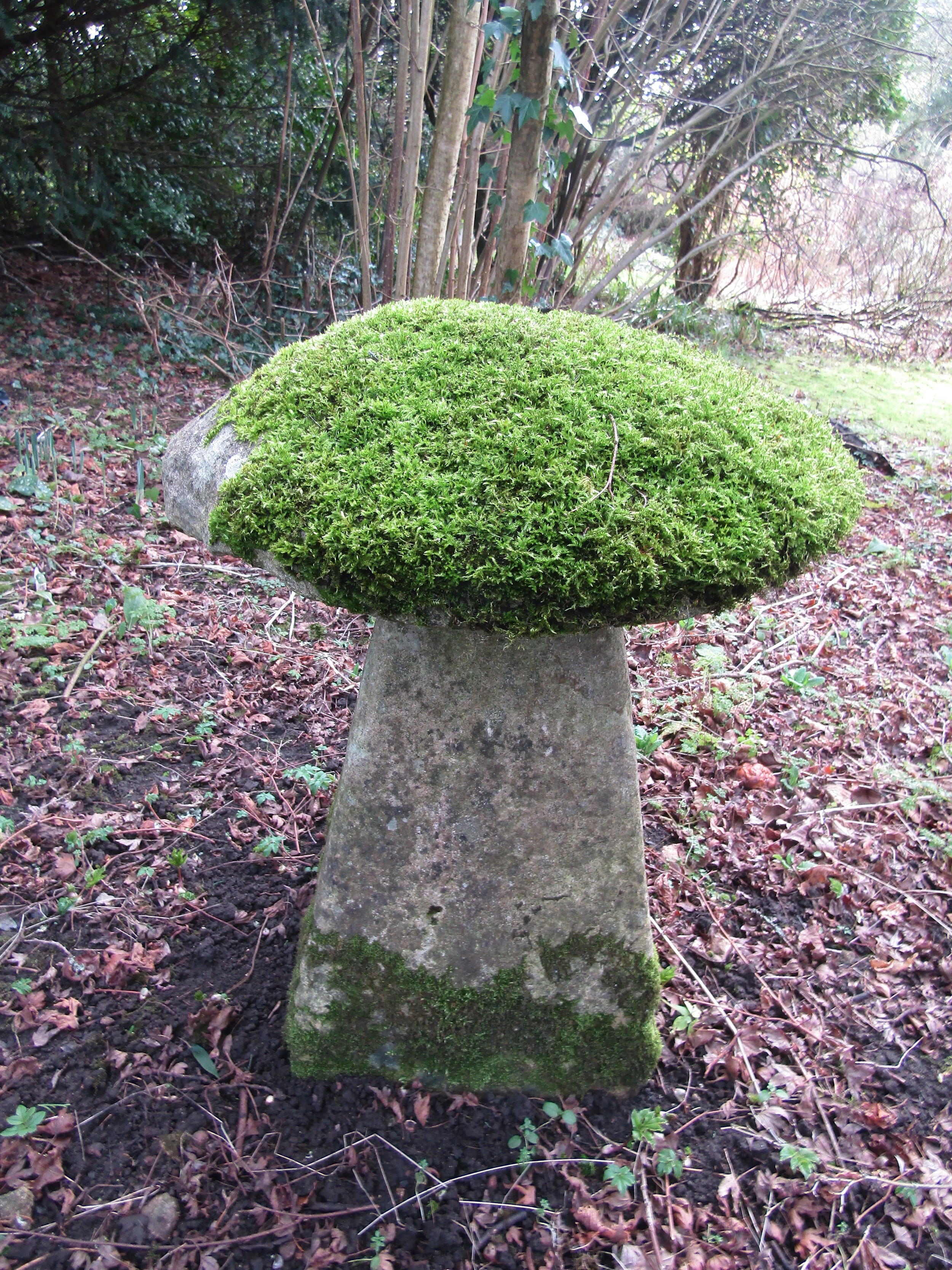 A limestone staddle stone and cap, moss encrusted, 70 cm in height - Image 4 of 4