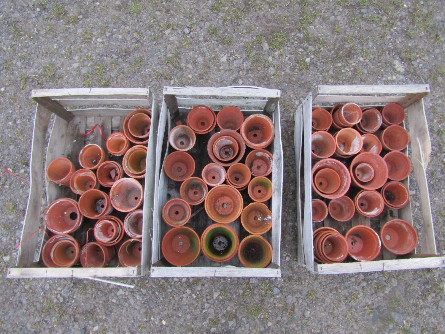 Three weathered wooden crates containing a quantity of terracotta flower pots of varying size and