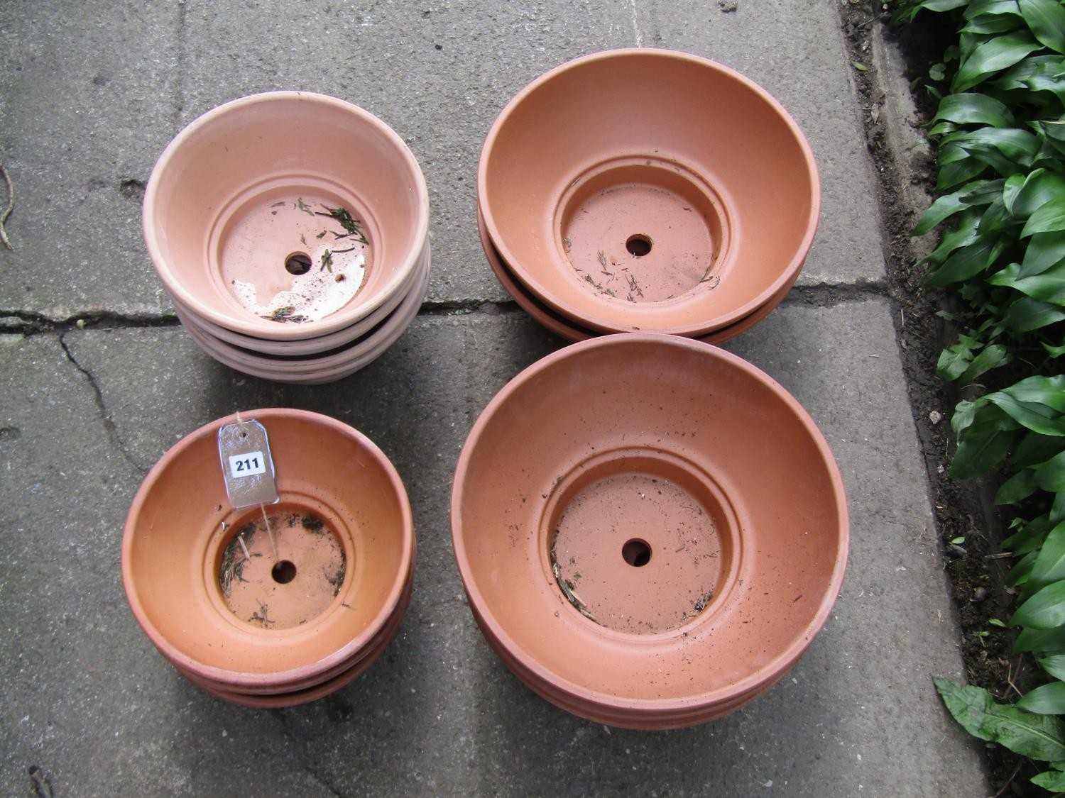 Twelve shallow squat circular terracotta planters (varying size), the larger examples 14 cm x 36 - Image 2 of 4