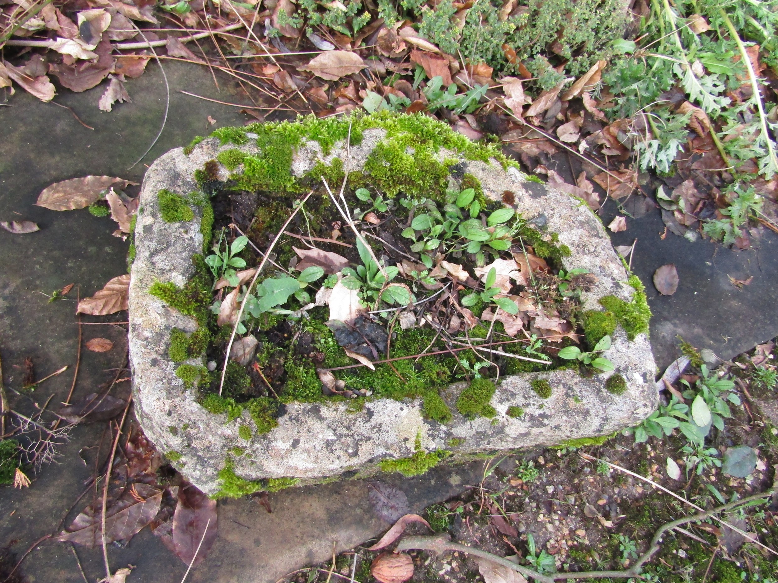 Two small ancient rough hewn planters/troughs, 45 cm wide and 35 cm wide approximately