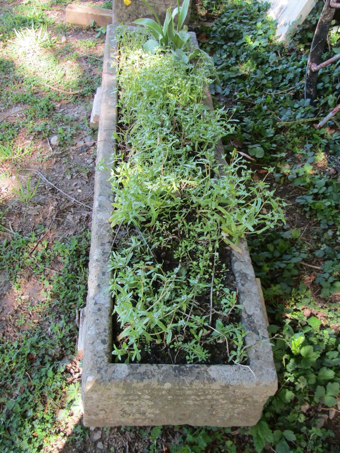 A long weathered carved natural stone trough of rectangular form, 20cm high, 162cm x 38cm - Image 3 of 3
