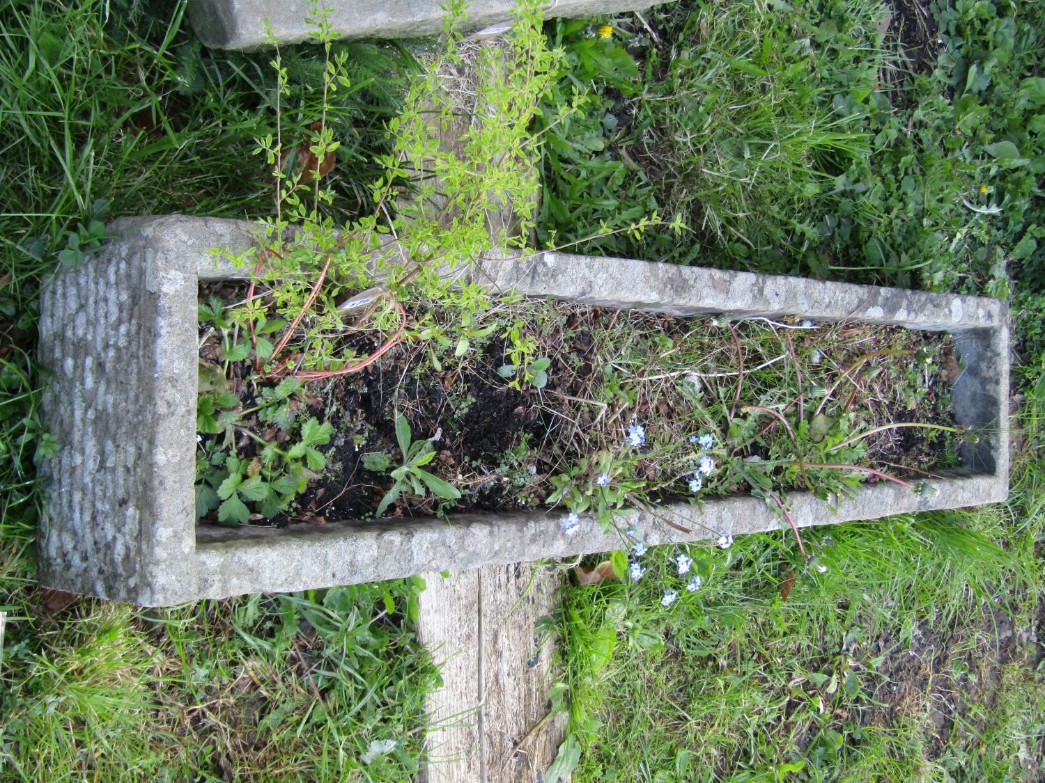 A good weathered narrow rectangular carved stone trough, 18 cm high x 152 cm long x 30 cm wide - Image 2 of 2