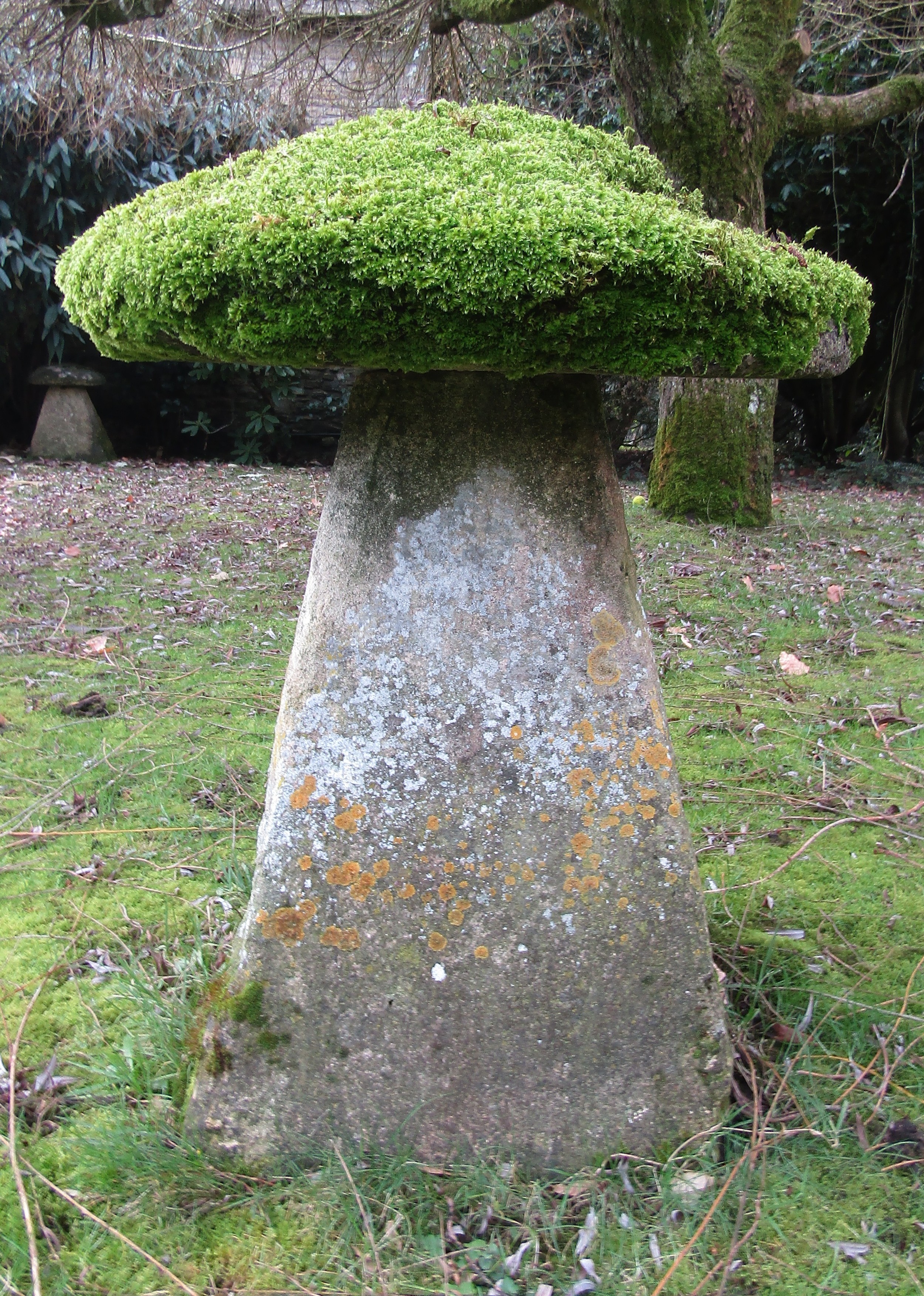 A substantial limestone staddle stone and cap heavily moss encrusted, 80 cm height