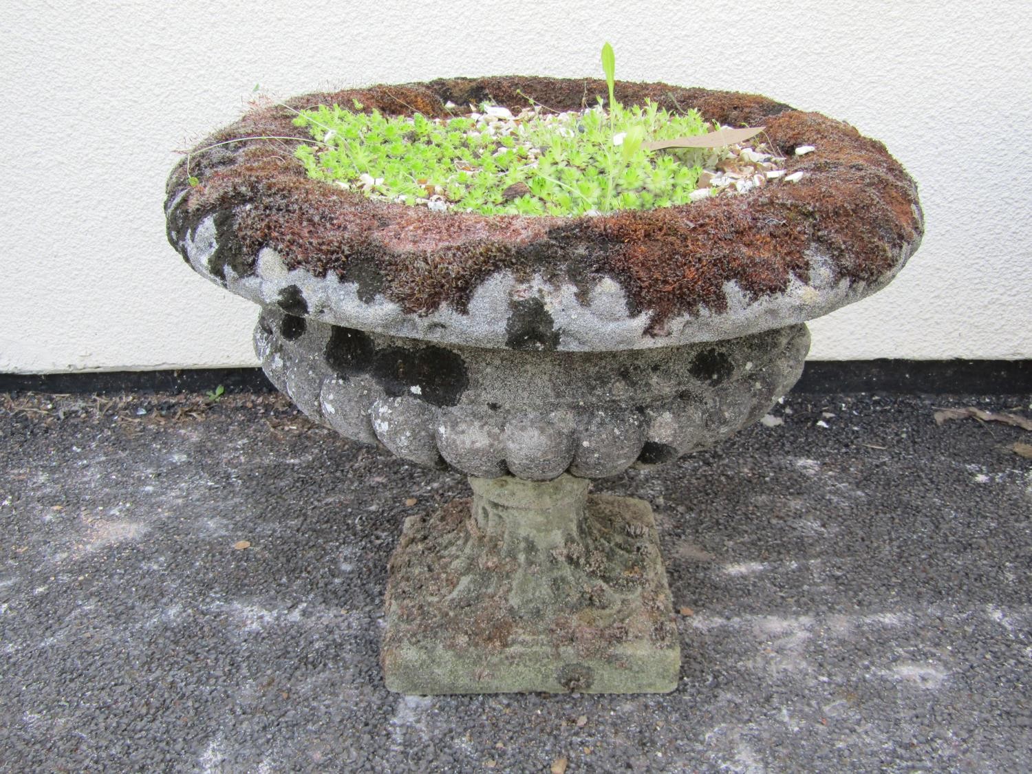 A pair of weathered cast composition stone garden urns, the squat circular lobed bowls with flared - Image 3 of 9