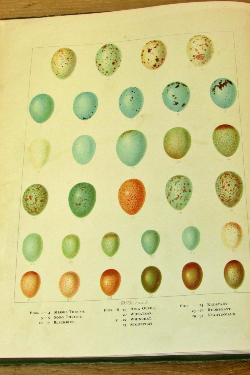 Arthur Butler British Birds with their Nests and Eggs, 1900, 5 vols, illustrated by F W Frohawk - Image 6 of 7